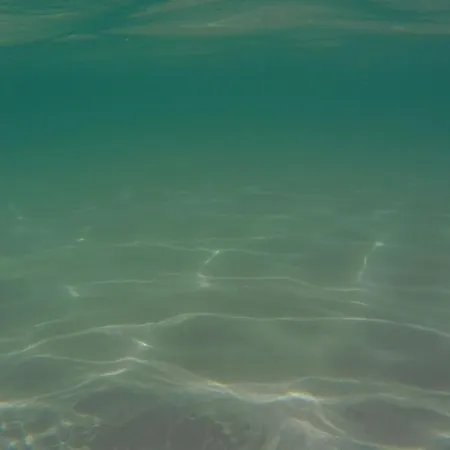 Dimora Cris * Monopoli