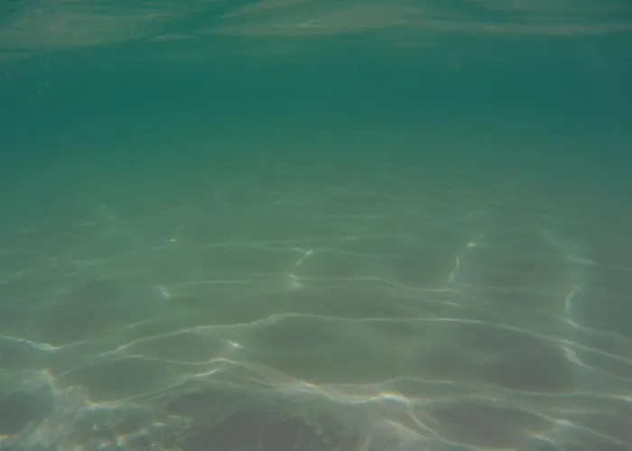 Dimora Cris * Монополи